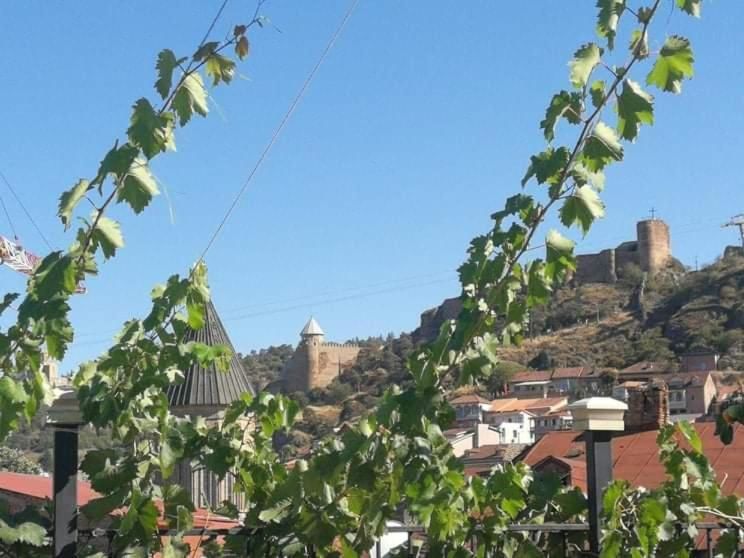 Гостевой дом Hotel Lika Тбилиси-19