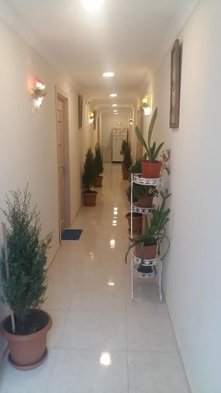 Гостевой дом Hotel Lika Тбилиси