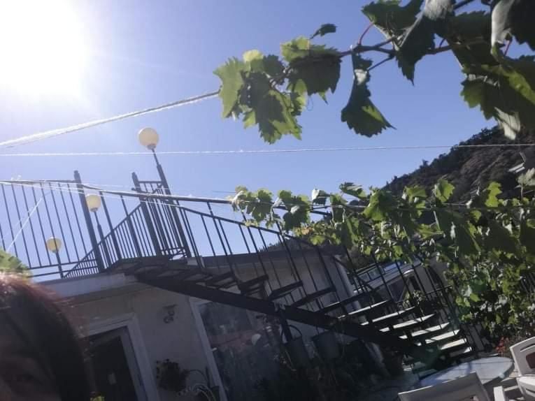 Гостевой дом Hotel Lika Тбилиси