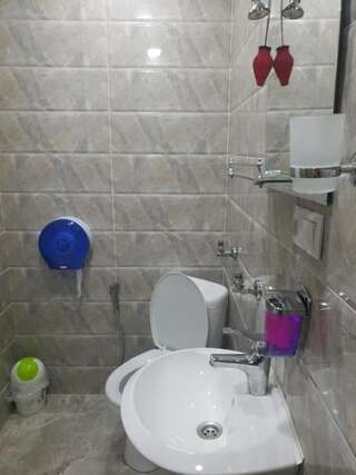 Гостевой дом Hotel Lika Тбилиси Стандартный двухместный номер с 1 кроватью или 2 отдельными кроватями-42