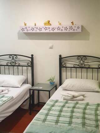 Гостевой дом Hotel Lika Тбилиси Стандартный двухместный номер с 1 кроватью или 2 отдельными кроватями-48