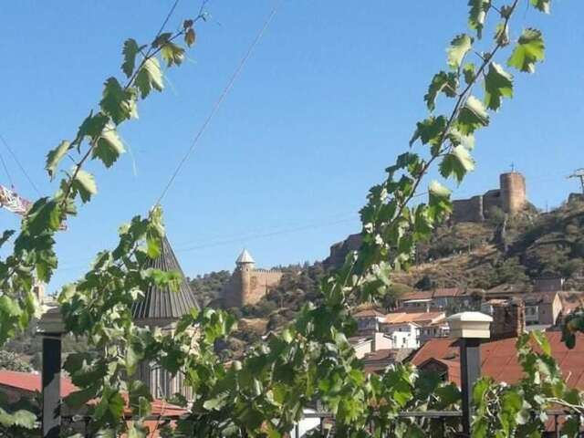 Гостевой дом Hotel Lika Тбилиси-18